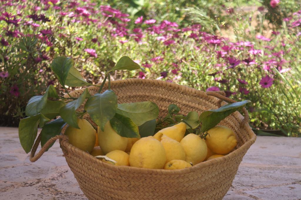 Agroturismo Es Pla De Llodra Манакор Номер фото